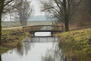 Oldenburger Polder