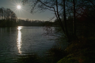 Abendstimmung am swarter Moor in Oldenburg