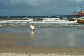 041009 Zingst 040