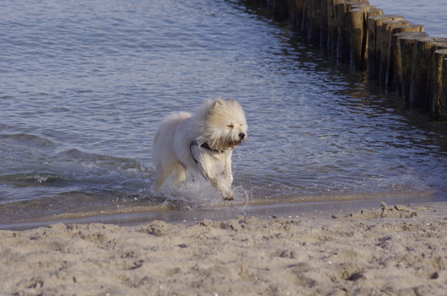 191012 Zingst 024