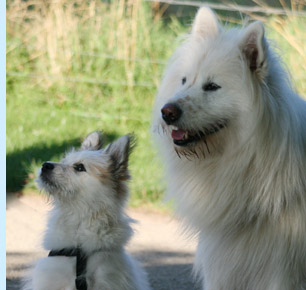 samweis und klein Wuotan